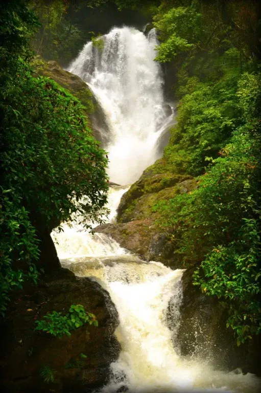 Cascading fresh springs at Vibhooti Falls in Sahyadri forest
